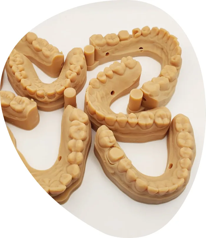 dental models